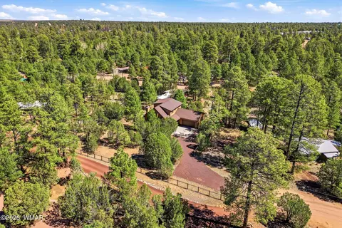 2877 Wahoo Rd, Overgaard, AZ 85933 photo 31