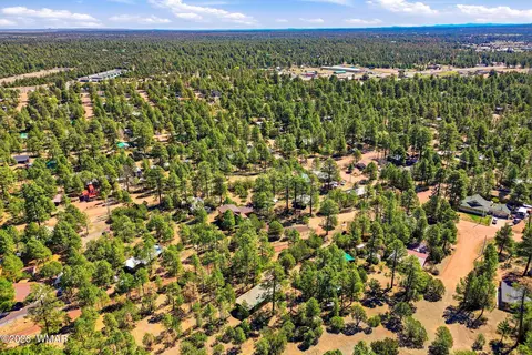 2877 Wahoo Rd, Overgaard, AZ 85933 photo 32