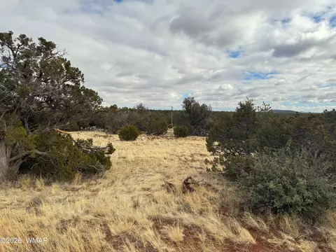 14 Co, Vernon, AZ 85940