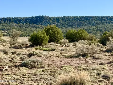 85 Co Road 8500 40 Acres, Concho, AZ 85924