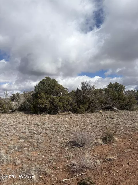 03 N8716 # E, Concho, AZ 85924 photo 2