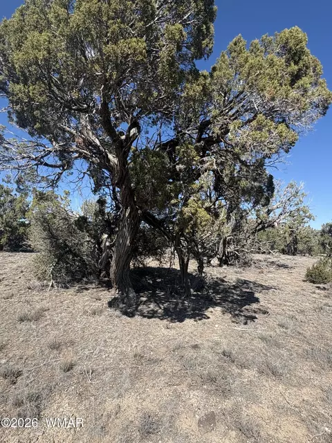 03 N8716 # E, Concho, AZ 85924 photo 5