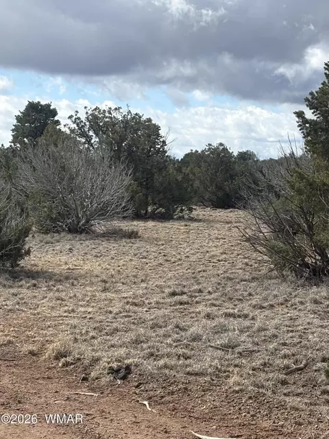 03 N8716 # E, Concho, AZ 85924 photo 3