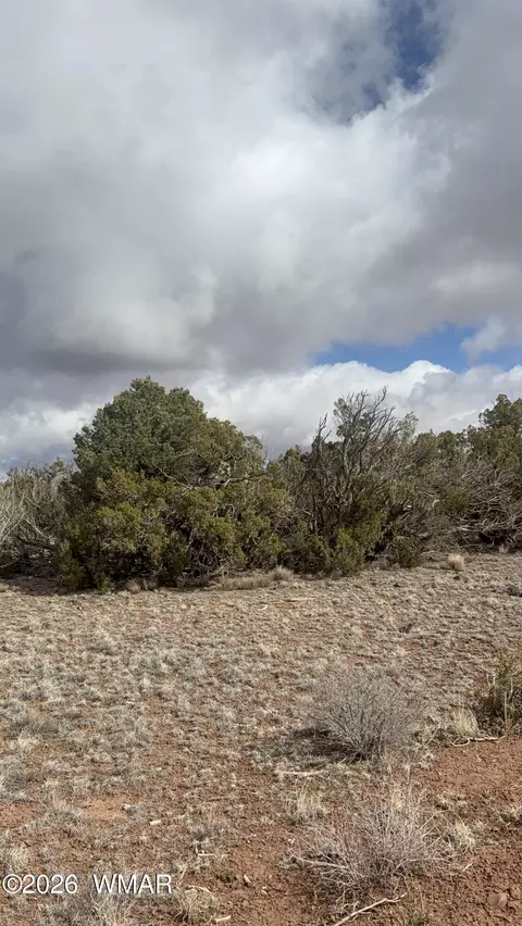 03 N8716 # E, Concho, AZ 85924 photo 6
