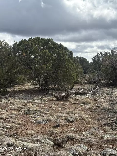 03 N8716 # E, Concho, AZ 85924 photo 4