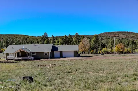 685 Kuhn Rd, Pinedale, AZ 85934