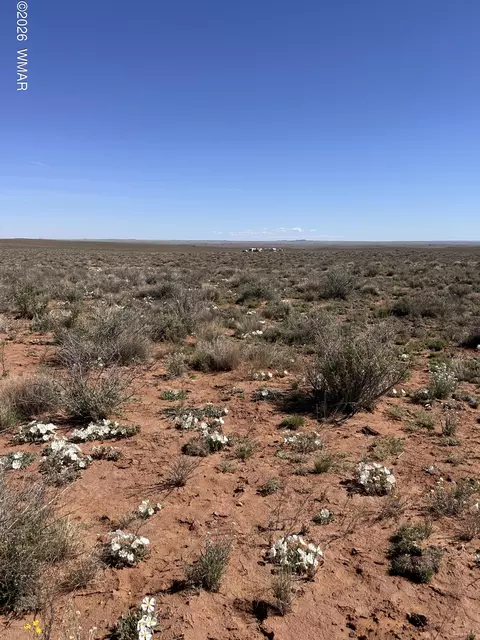 5647 Kohl Rd, Snowflake, AZ 85937