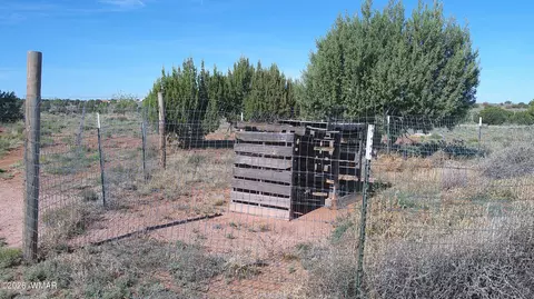 8620 Juniper Berry Trl, Snowflake, AZ 85937 photo 14