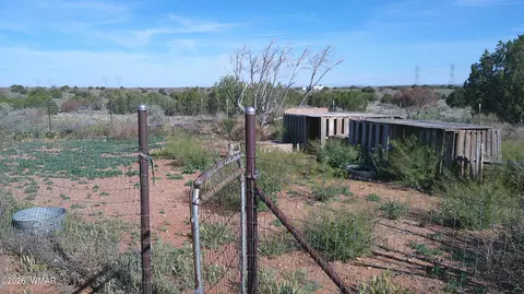 8620 Juniper Berry Trl, Snowflake, AZ 85937 photo 5
