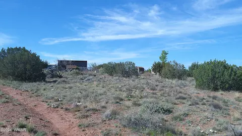8620 Juniper Berry Trl, Snowflake, AZ 85937 photo 15