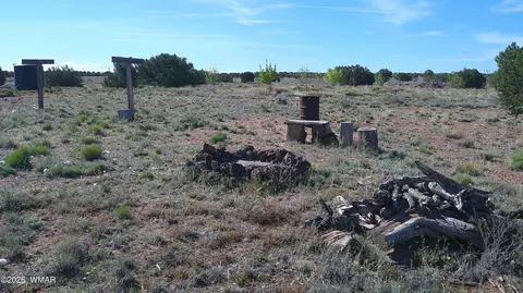 8620 Juniper Berry Trl, Snowflake, AZ 85937 photo 12