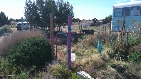 8620 Juniper Berry Trl, Snowflake, AZ 85937 photo 7