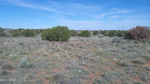 8620 Juniper Berry Trl, Snowflake, AZ 85937 photo 17