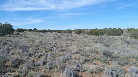 8620 Juniper Berry Trl, Snowflake, AZ 85937 photo 24
