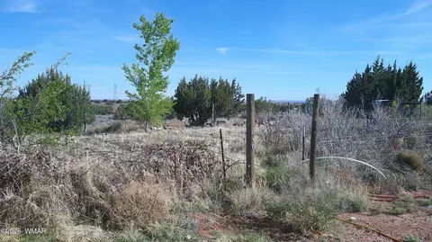 8620 Juniper Berry Trl, Snowflake, AZ 85937 photo 10