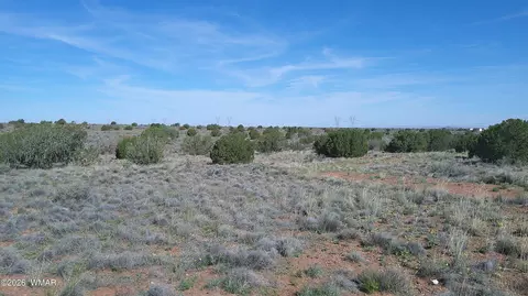 8620 Juniper Berry Trl, Snowflake, AZ 85937 photo 20