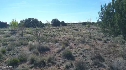 8620 Juniper Berry Trl, Snowflake, AZ 85937 photo 19
