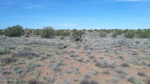 8620 Juniper Berry Trl, Snowflake, AZ 85937 photo 21