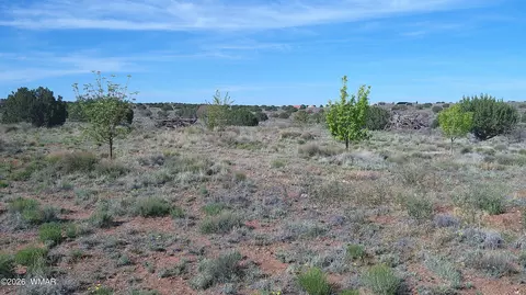8620 Juniper Berry Trl, Snowflake, AZ 85937 photo 18
