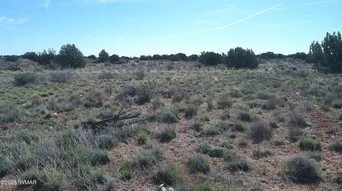 8620 Juniper Berry Trl, Snowflake, AZ 85937 photo 23