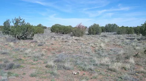 8620 Juniper Berry Trl, Snowflake, AZ 85937 photo 22