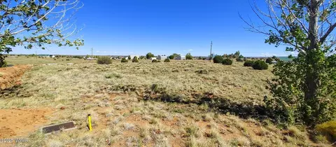 1190 S Haystack Rd, Taylor, AZ 85939
