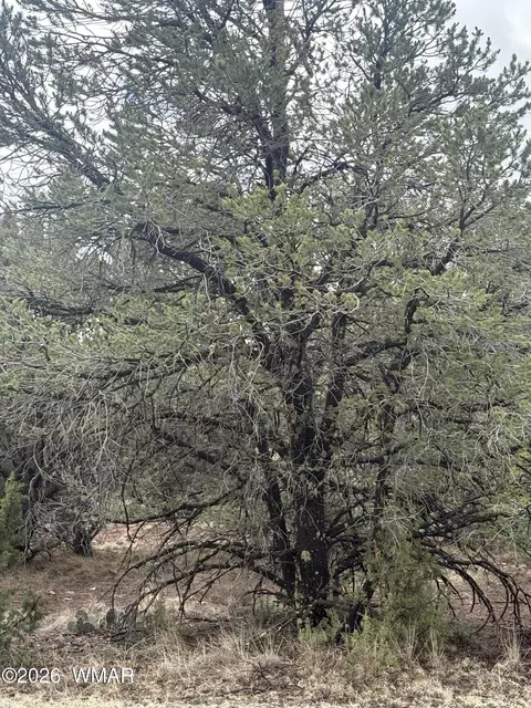 33 N3317, Vernon, AZ 85940