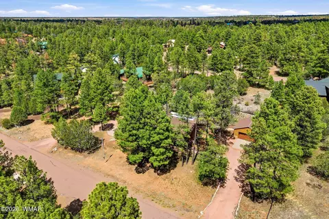 View/Area - 2236 Roundabout Way, Overgaard, AZ 85933 photo 3 of 4