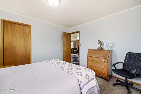 438 E Yaqui St, Springerville, AZ 85938 photo 15
