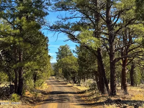 11 Co Rd 3262 5 Acres, Vernon, AZ 85940