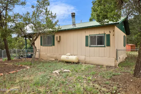 Exterior - 3566 Black Bear Run, Overgaard, AZ 85933 photo 4 of 7