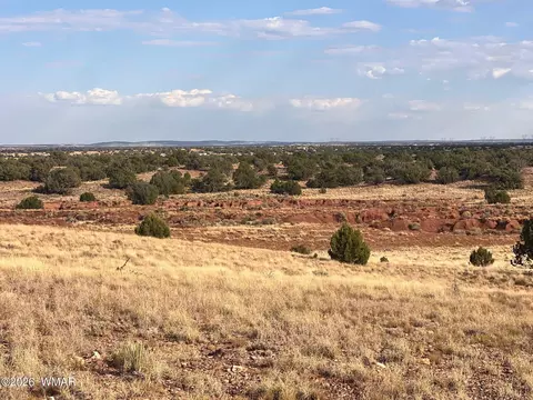 N9237 Miller Lane, Concho, AZ 85924