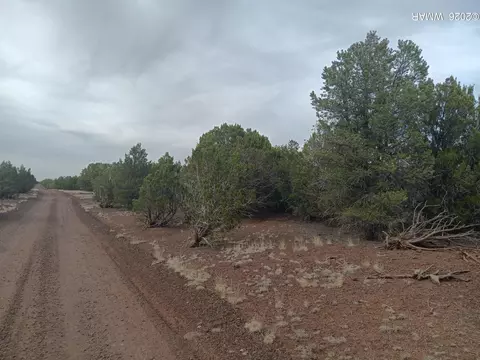 tbd 2 N8412, Concho, AZ 85924