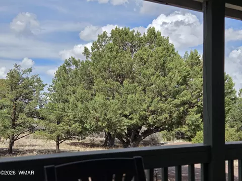 41205 Highway 261, Eagar, AZ 85925 photo 33