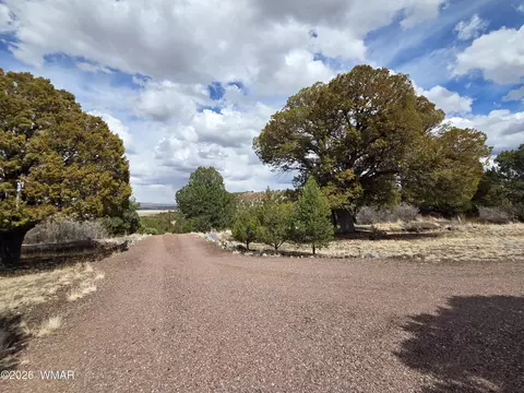 41205 Highway 261, Eagar, AZ 85925 photo 26