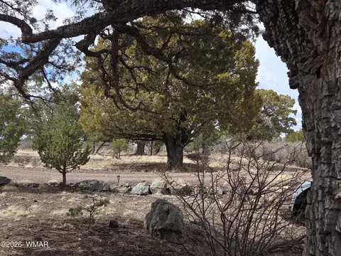41205 Highway 261, Eagar, AZ 85925 photo 25