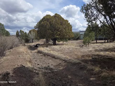 41205 Highway 261, Eagar, AZ 85925 photo 30