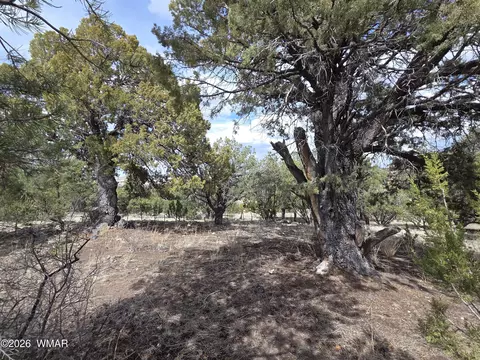 41205 Highway 261, Eagar, AZ 85925 photo 29