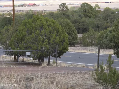 41205 Highway 261, Eagar, AZ 85925 photo 28