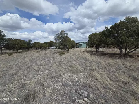 41205 Highway 261, Eagar, AZ 85925 photo 31
