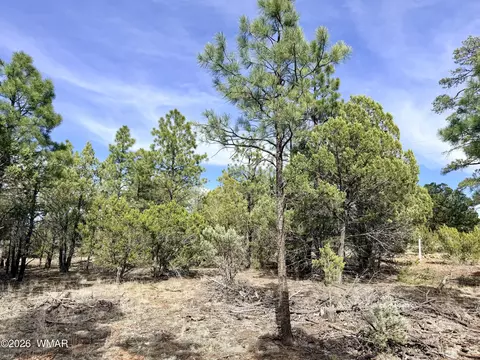 2588 Spoonbill Dr, Happy Jack, AZ 86024