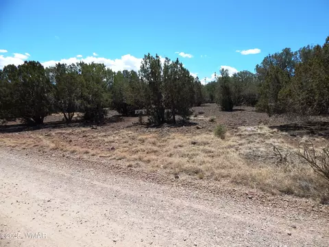 8337 Navajo Dr, Show Low, AZ 85901