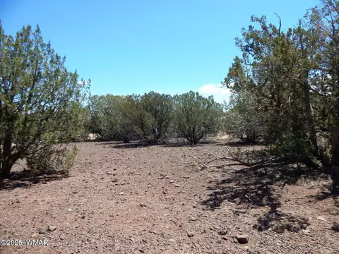 8337 Navajo Dr, Show Low, AZ 85901