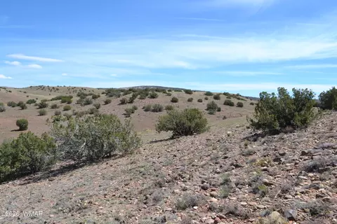 lot863 Acr N8497, Concho, AZ 85924
