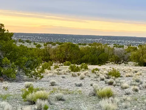 tbd Co Rd N6579 3725 Acres, Saint Johns, AZ 85936