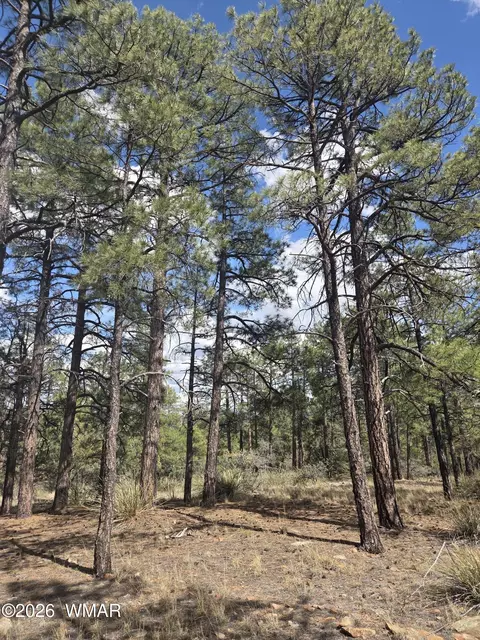 1045 Snowy Rock Ridge Dr, Show Low, AZ 85901