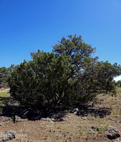 8411 Javelina Dr, Show Low, AZ 85901