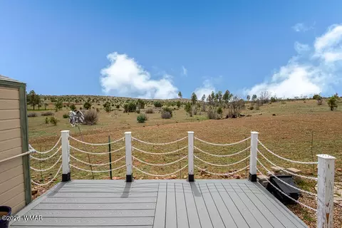 2217 Rodeo Rd, Overgaard, AZ 85933 photo 29