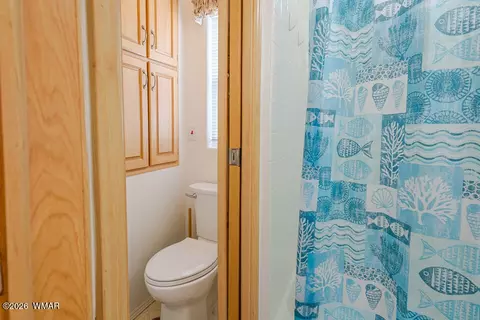 2217 Rodeo Rd, Overgaard, AZ 85933 photo 22
