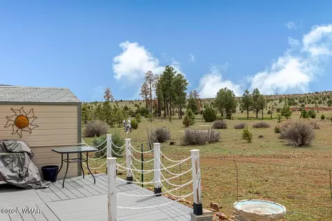 2217 Rodeo Rd, Overgaard, AZ 85933 photo 7